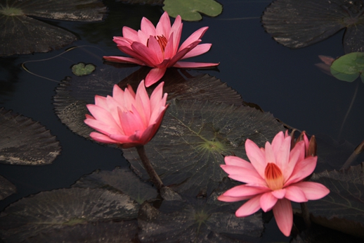 凯发·k8(中国游)官方网站